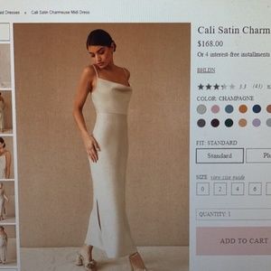 Like New BHLDN CALI Dress in Champagne.